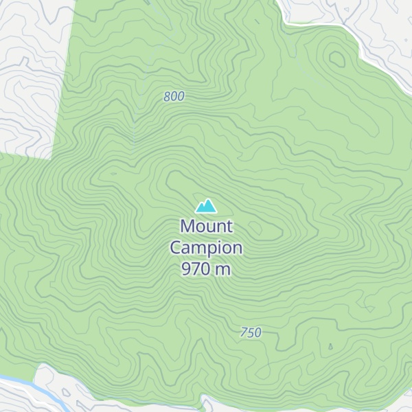 Map of Mount Campion