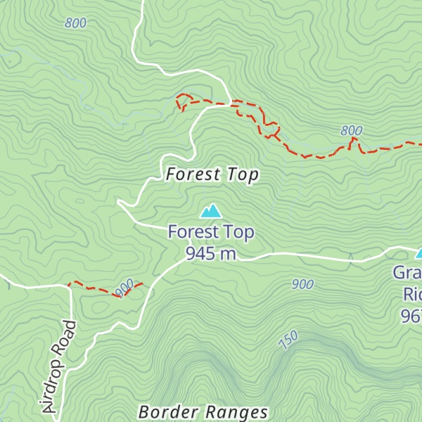 Map of Forest Top