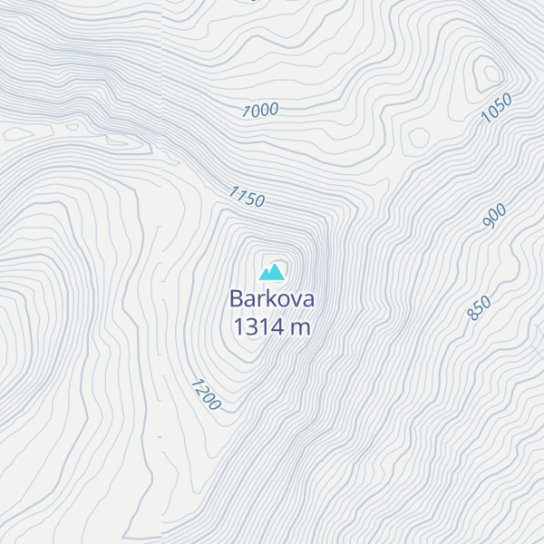 Map of Barkova