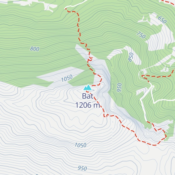 Map of Bat