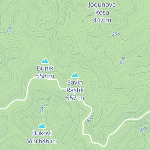 Map of Savin Rastik