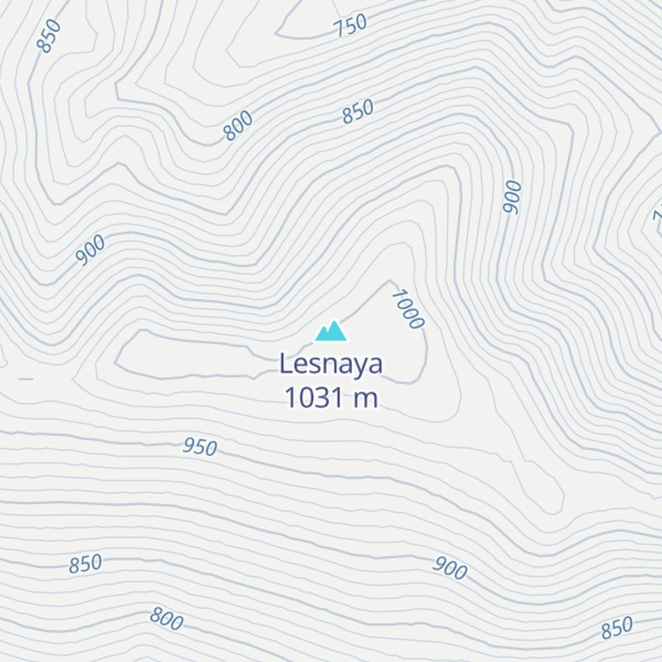 Map of Lesnaya