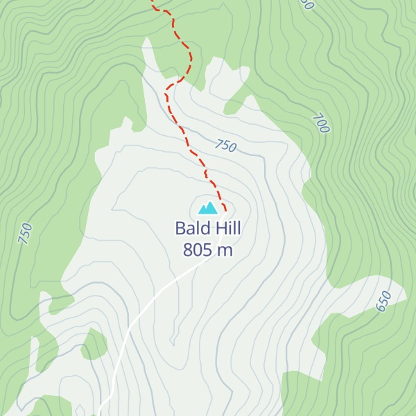 Map of Bald Hill