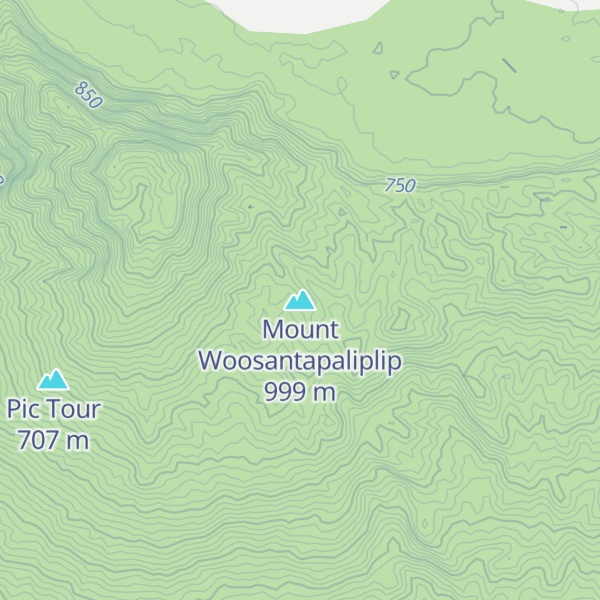 Map of Mount Woosantapaliplip