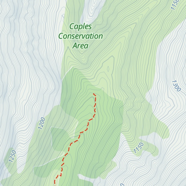 Map of Kay Creek Hut