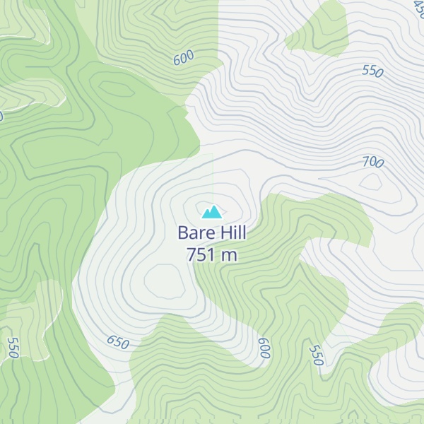 Map of Bare Hill