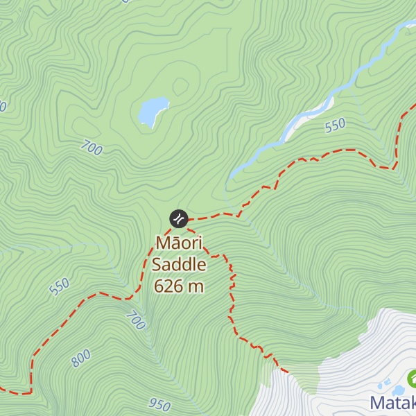 Map of Māori Saddle Hut