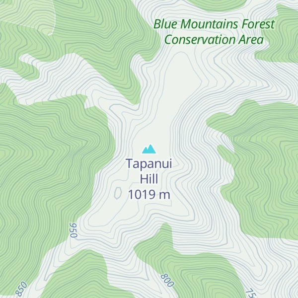 Map of Tapanui Hill