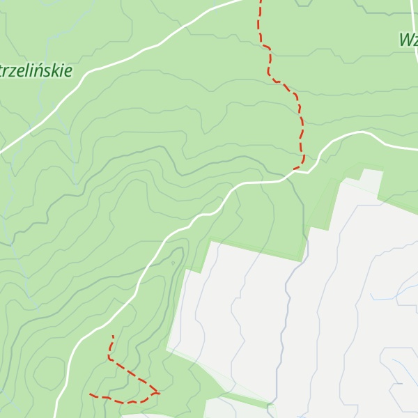 Map of Rokitki