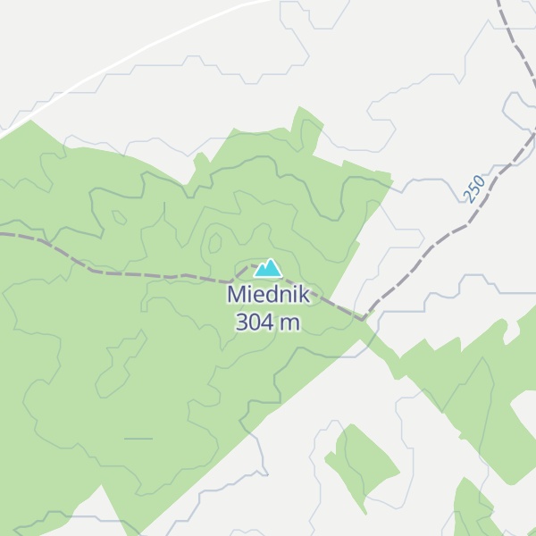 Map of Miednik