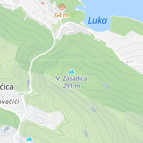 Map of V. Zasadica