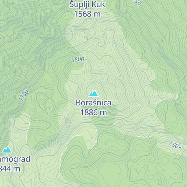 Map of Borašnica