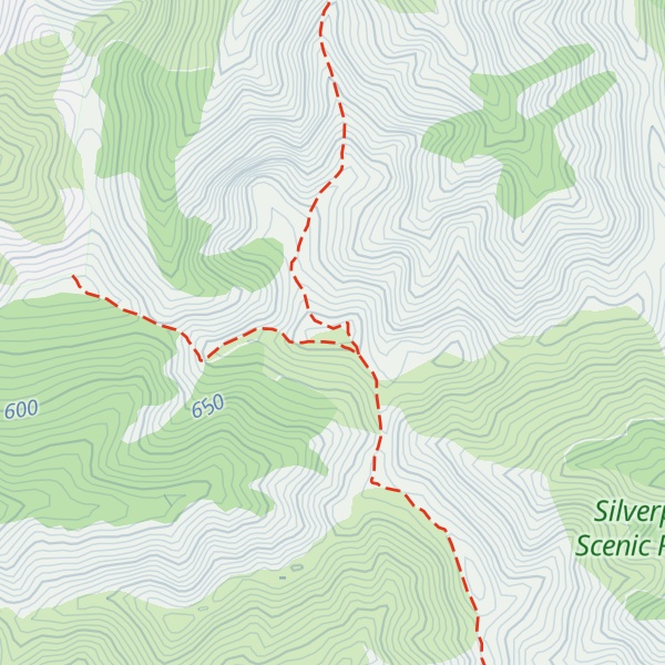 Map of Silver Peak