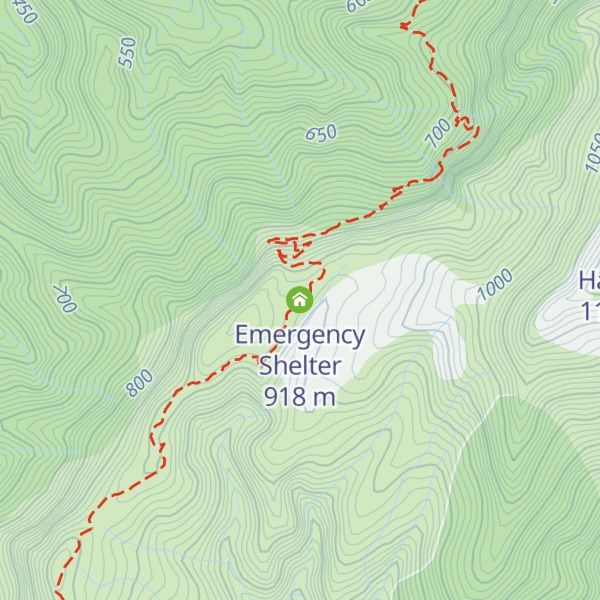 Map of Emergency Shelter