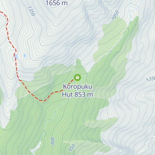 Map of Koropuku Hut