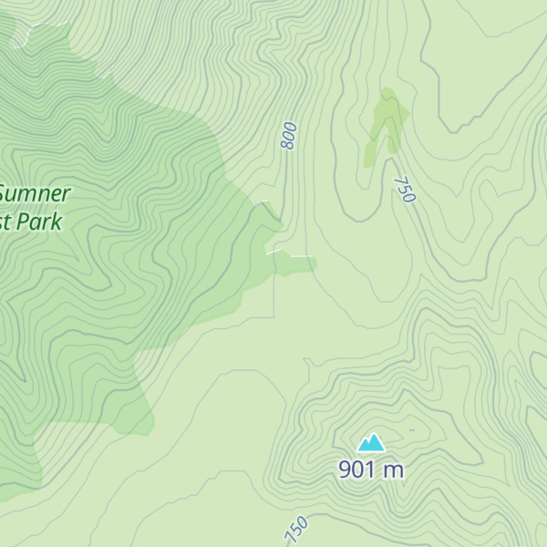 Map of Bush Camp Hut