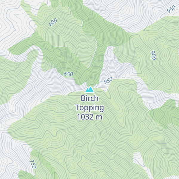 Map of Birch Topping