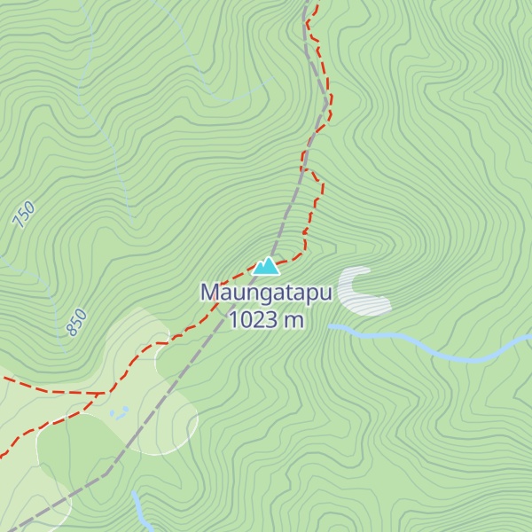 Map of Maungatapu