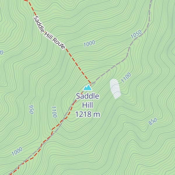 Map of Saddle Hill