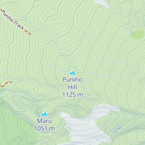 Map of Puniho Hill