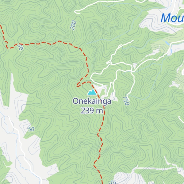 Map of Onekainga