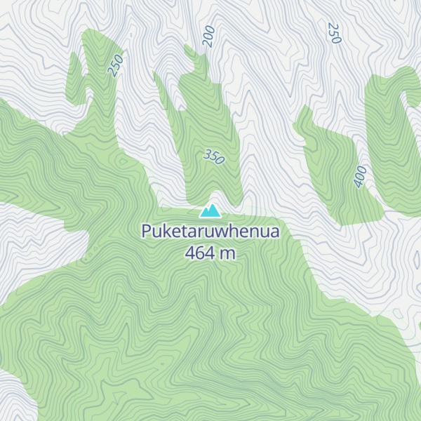 Map of Puketaruwhenua