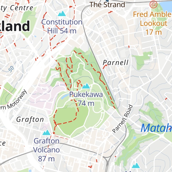 Map of Pukekawa