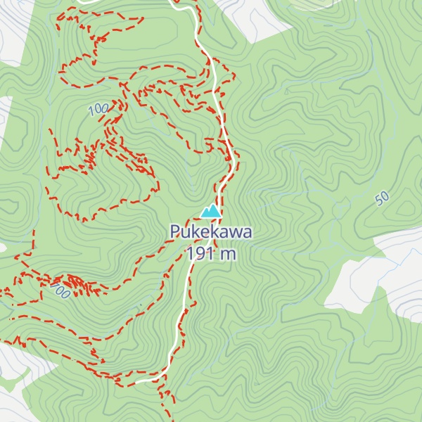 Map of Pukekawa