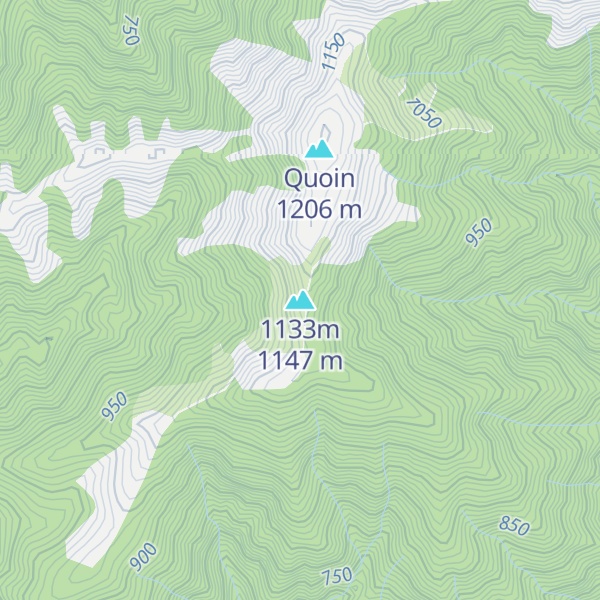 Map of 1133m