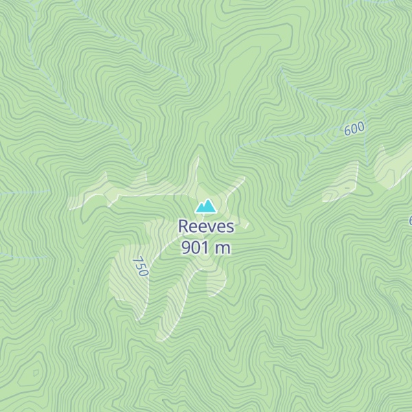 Map of Reeves