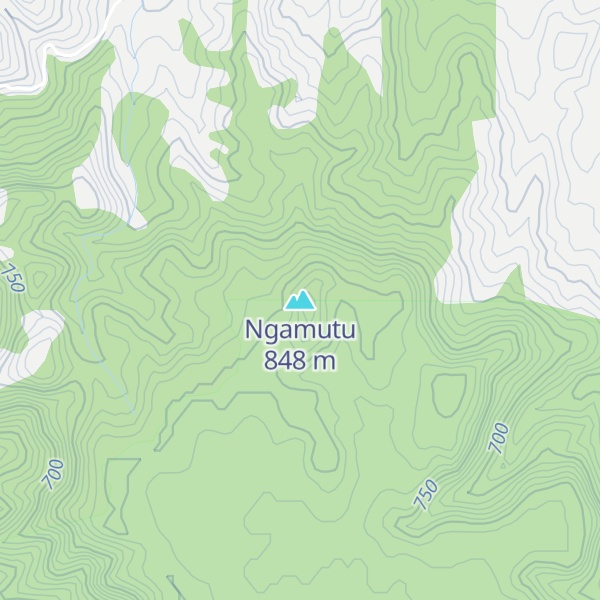 Map of Ngamutu