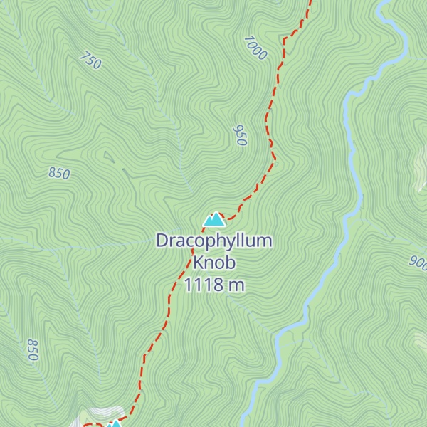 Map of Dracophyllum Hut