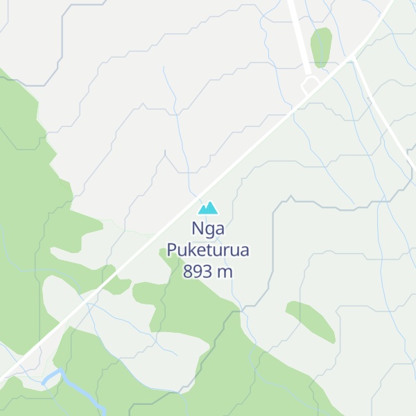 Map of Nga Puketurua