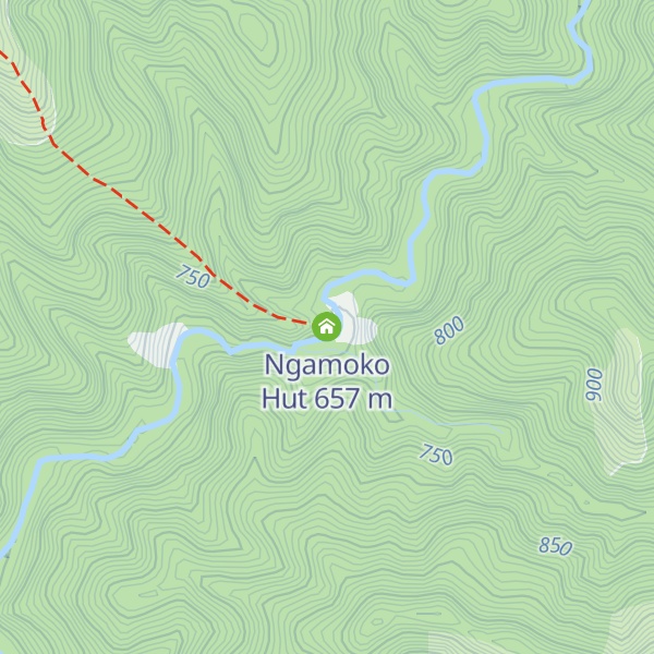 Map of Ngamoko Hut