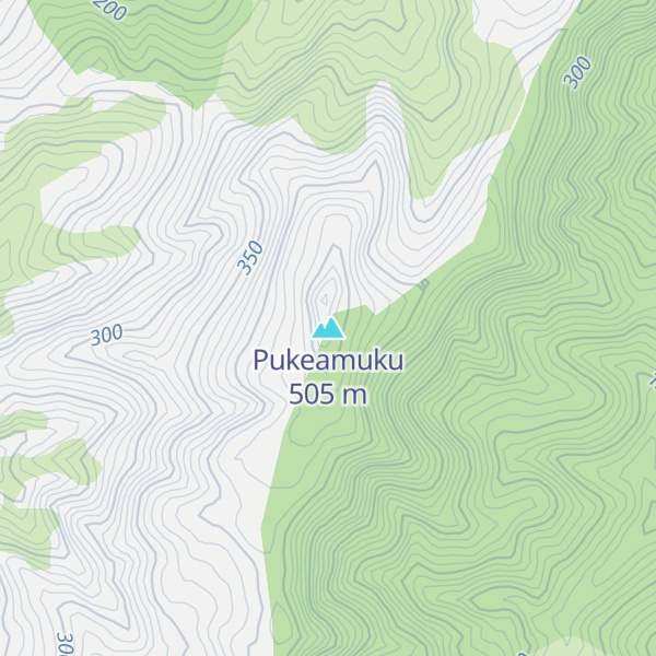 Map of Pukeamuku