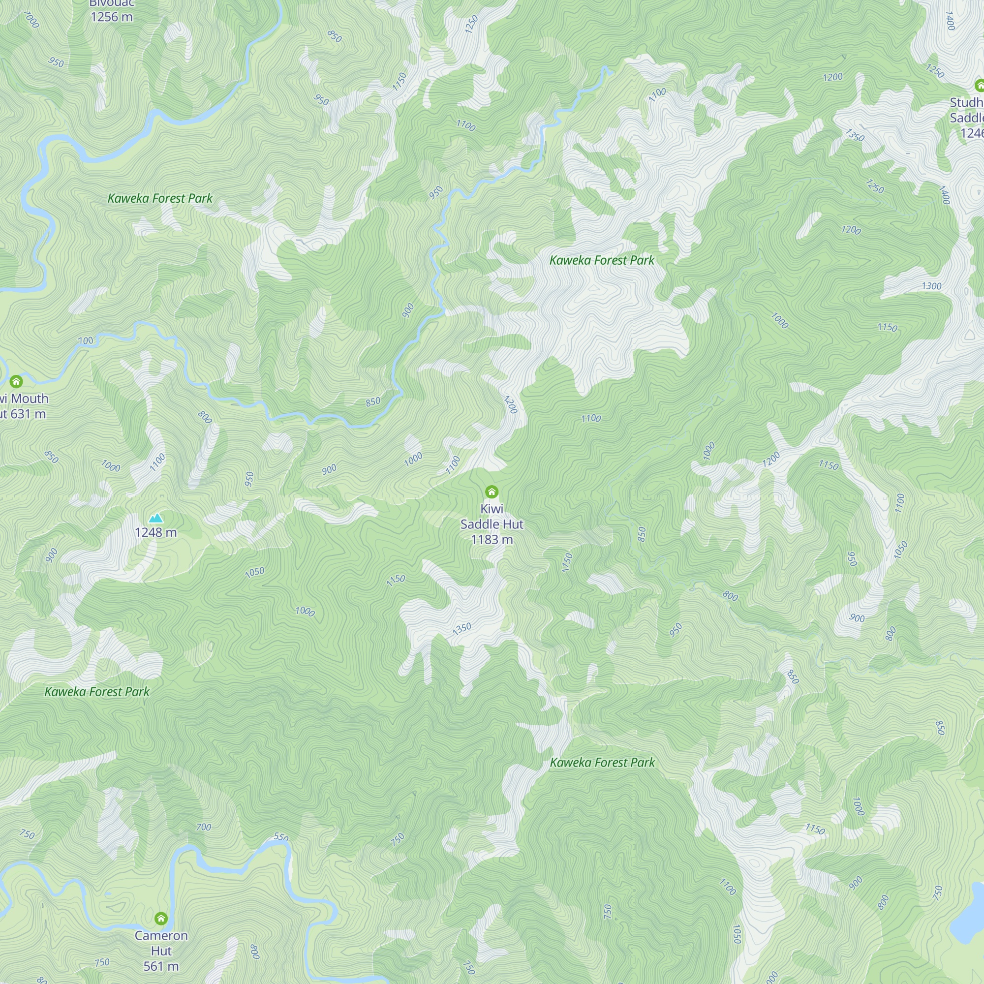 Kiwi Saddle Hut map