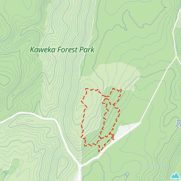 Map of Lowry Shelter