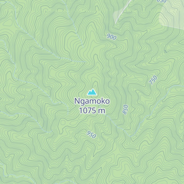 Map of Ngamoko