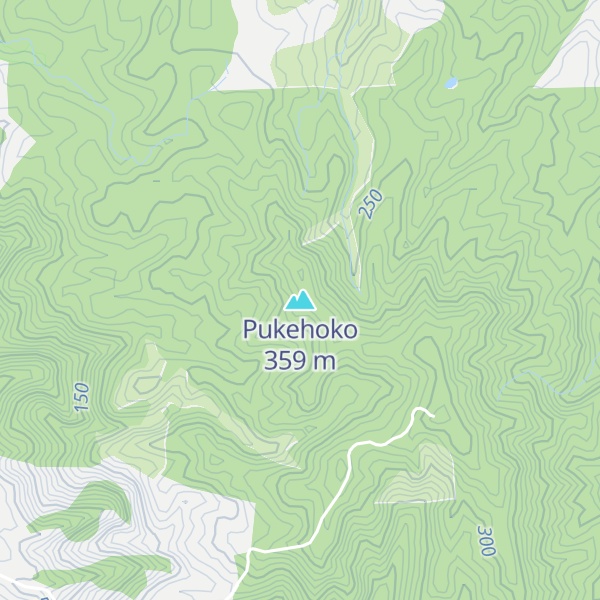 Map of Pukehoko