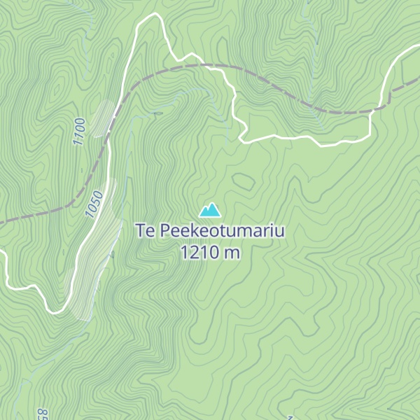 Map of Te Peekeotumariu