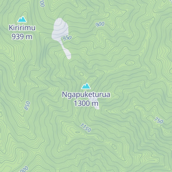 Map of Ngapuketurua