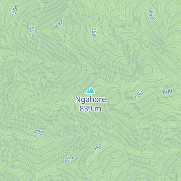 Map of Ngahore