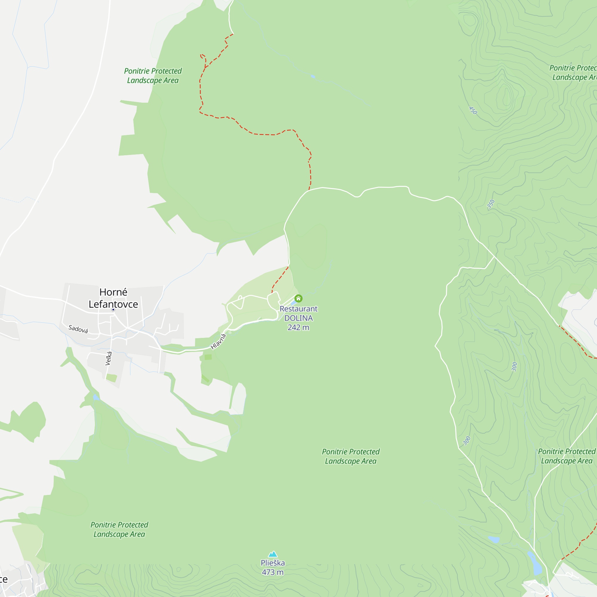 Restaurant DOLINA map