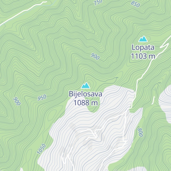 Map of Bijelosava