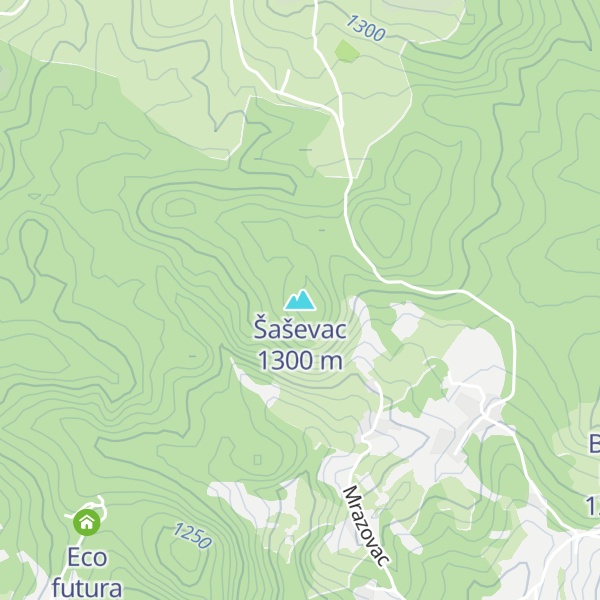 Map of Šaševac
