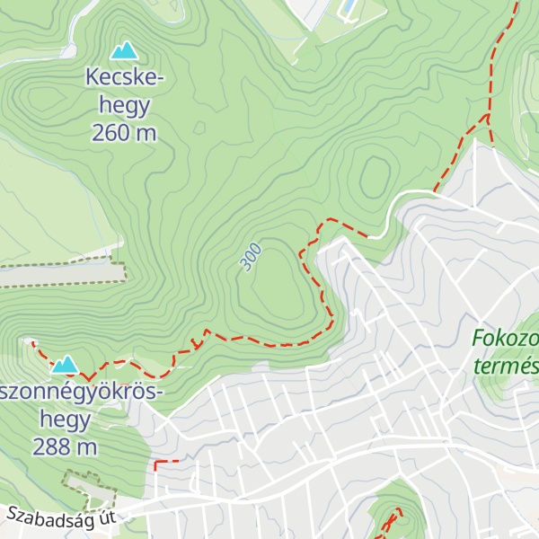 Map of Csík-hegy