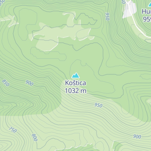 Map of Koštica