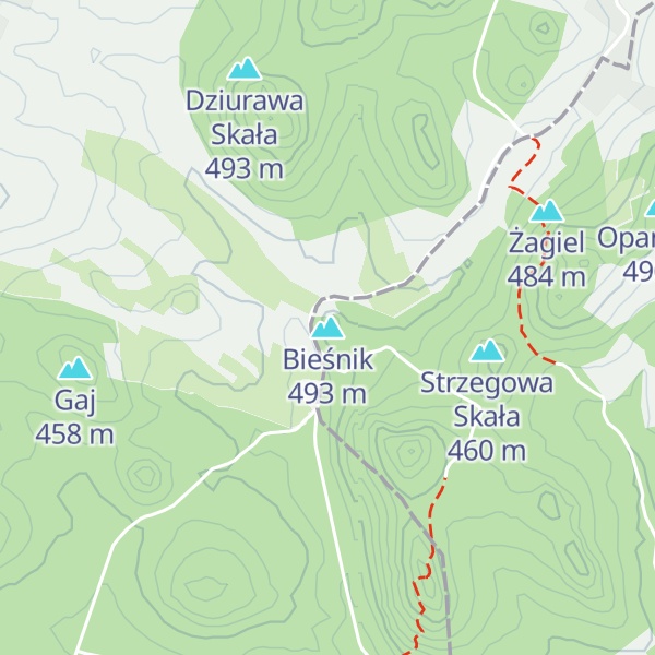 Map of Bieśnik