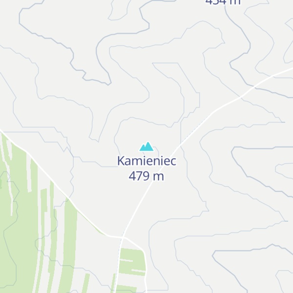 Map of Kamieniec