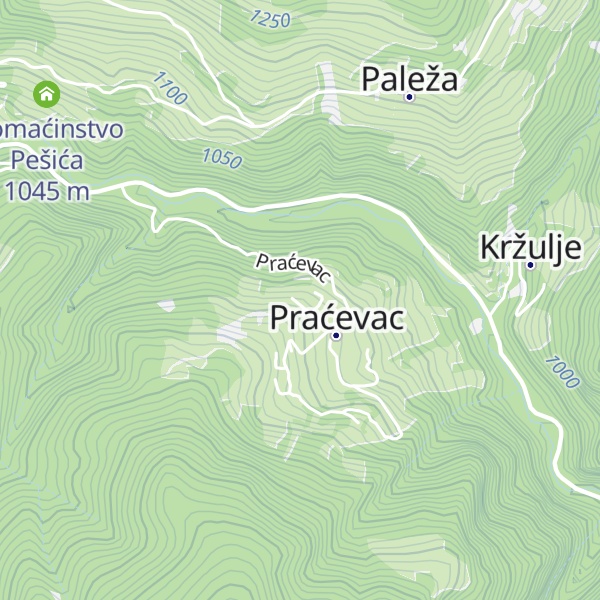 Map of Planinarski dom Praćevac